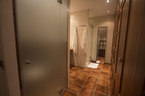 Combined shower/tub, jetted tub, hair dryer, towels