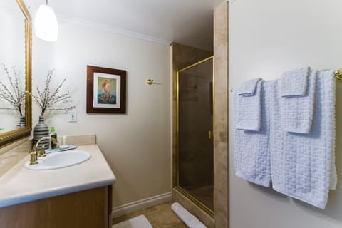 Combined shower/tub, hair dryer, towels, soap