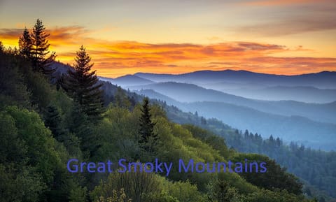 Explore the beautiful Great Smoky Mountains of Tennessee. Just moments away!