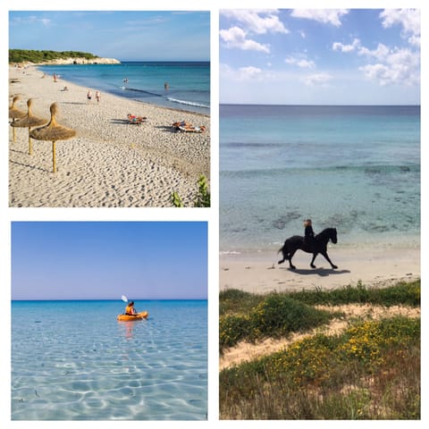 Beach nearby, sun loungers