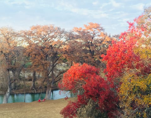 Fall colors from our deck! Close to world famous LOST MAPLES STATE PARK! 