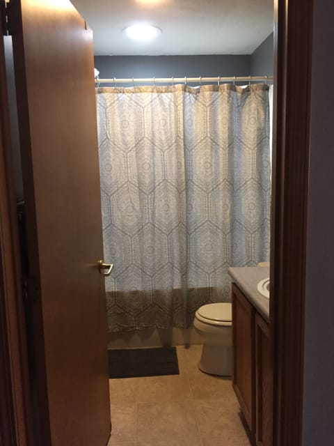 Combined shower/tub, hair dryer, towels