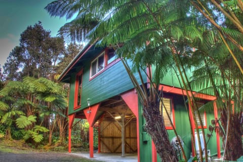 Hale Hubner rests in the heart of the lush fern rainforest of Volcano Village