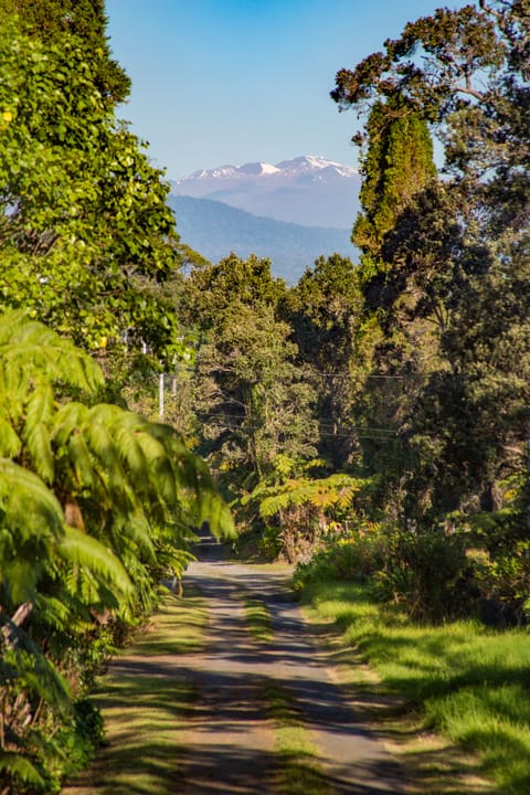 Snow-capped Mauna Kea visible from our road on clear days.