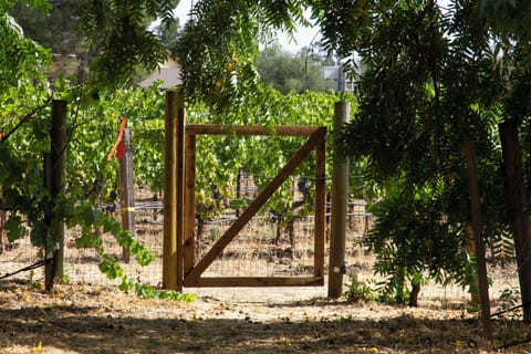 Gate access through vineyards to other wineries and restaurants.