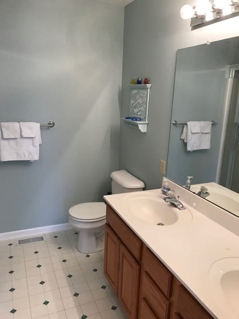 Combined shower/tub, hair dryer, towels