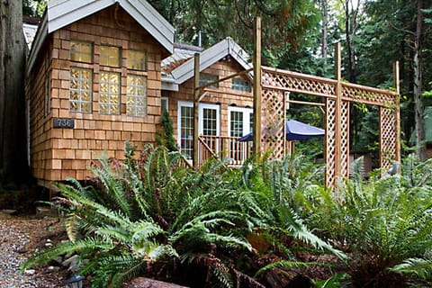 The Serenity cottage is nestled in between 5 cedar trees.