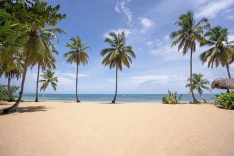 Sun loungers, beach towels