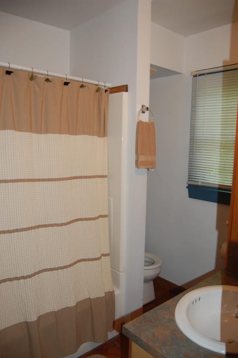 Shower, towels, toilet paper