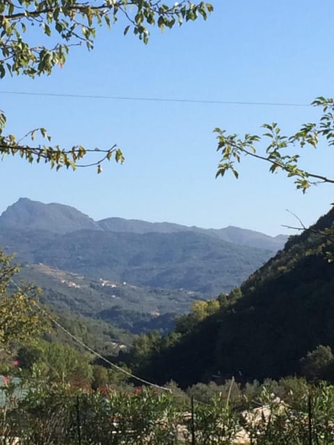 View down the valley from the garden