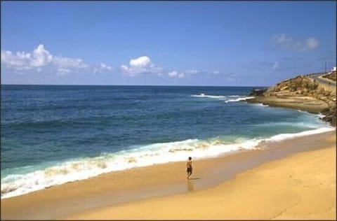 Beach nearby, sun loungers