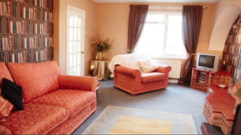 Living room. Now with new carpets and smart tv 