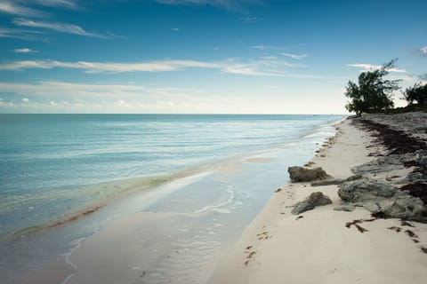 Beach | On the beach