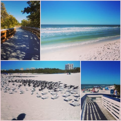 Sun loungers, beach towels