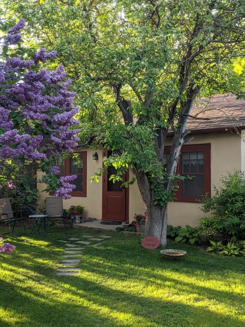Lilac Cottage is behind apple tree and among lilac bushes bordering the yard.