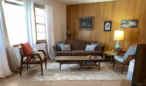 Mid century living room with flatscreen smart TV and plenty of natural light