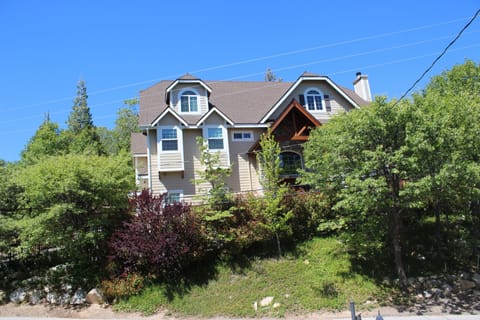 House is on 1 acre surrounded by trees