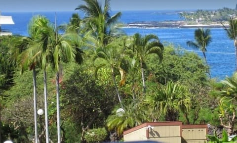 This shows how close you actually are to Kona Bay!