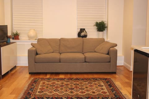 Room & Board sofa - converts to comfortable queen size air mattress bed.