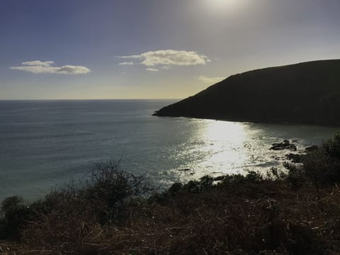 Stunning view overlooking Port Nadler bay from the SW Coastal Path