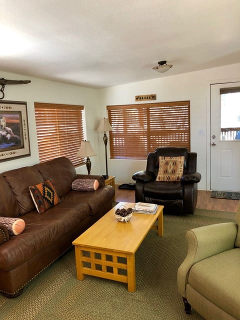 TV, fireplace, books, stereo