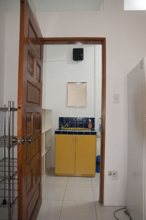 Mexican handcrafted Sink brings some color into the space