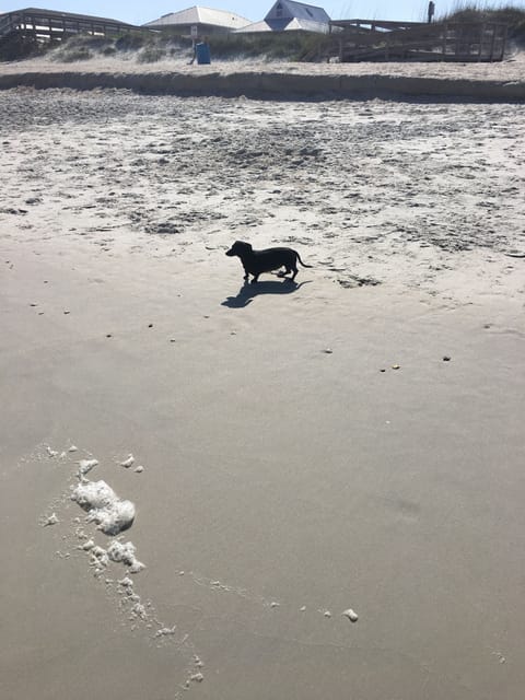 On the beach