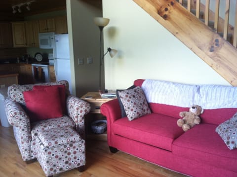 Newly Furnished Living Room