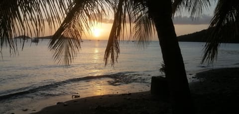 Beach nearby, sun loungers