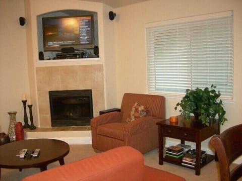Smart TV, DVD player, books, video library