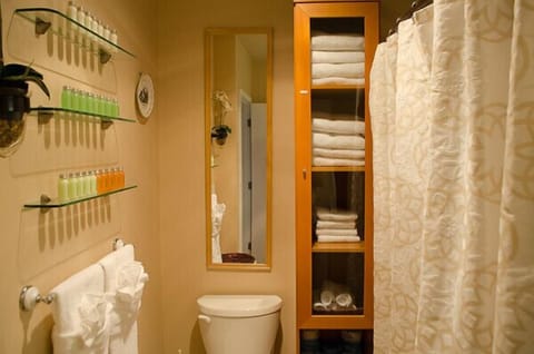 Hair dryer, towels, soap, toilet paper