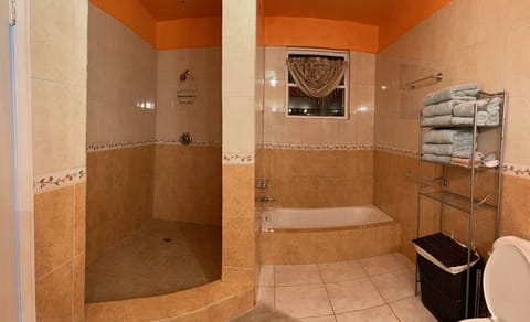 Combined shower/tub, jetted tub, hair dryer, towels