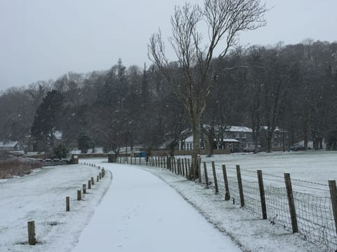 Winter in Ardrhu. Driveway into Ardrhu.