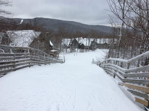 Ski In/Out Access via Grammy Jay Trail