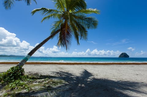 On the beach, sun loungers, beach towels