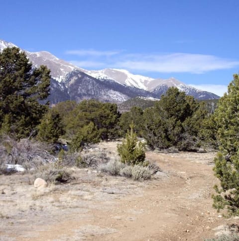 Inviting trails located behind Mountain Manor for peaceful hiking close to home!