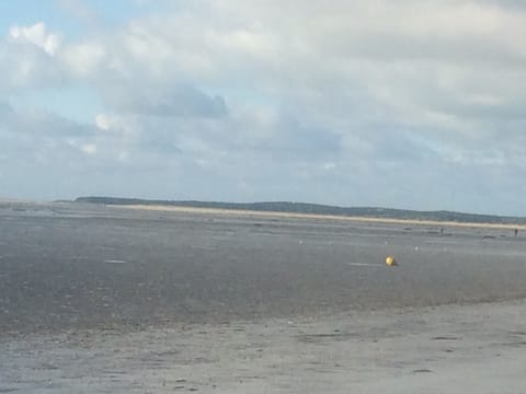 On the beach, sun loungers