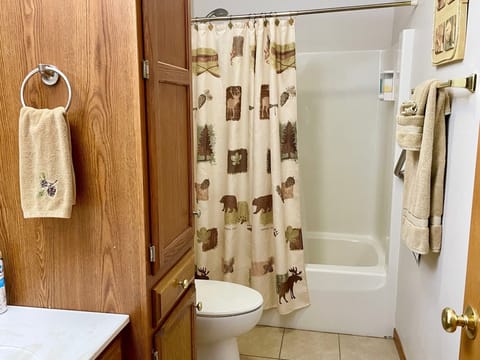 Combined shower/tub, hair dryer, towels, soap