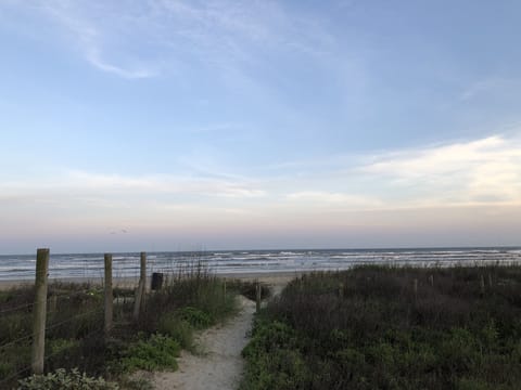 Beach nearby, sun loungers