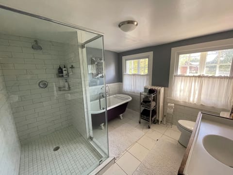 Combined shower/tub, jetted tub, hair dryer, bidet