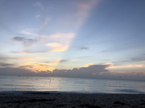 On the beach, sun loungers, beach towels