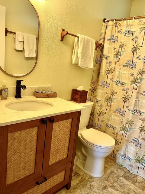 Combined shower/tub, hair dryer, towels, soap