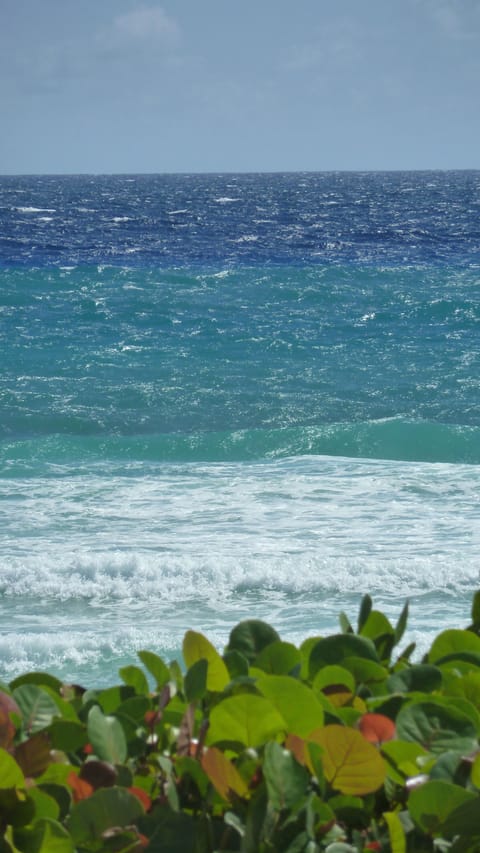 Sun loungers, beach towels