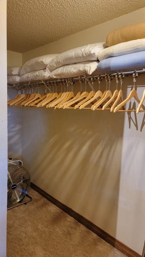 Walk in closet for everyones wardrobe, suitcase storage: XtrBlankets & Pillows.