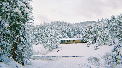 Early winter before the pond freezes