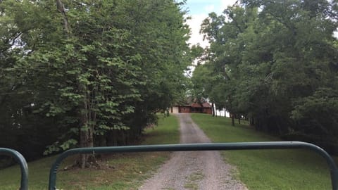 Driveway leading up to the cabin