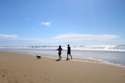 On the beach, sun loungers