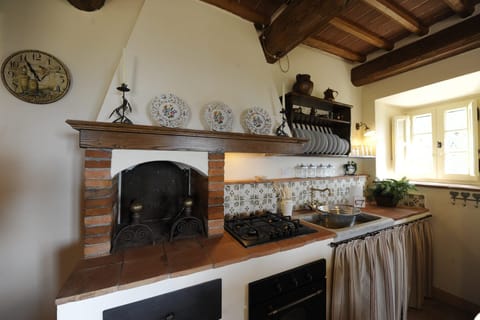 Kitchen and fireplace