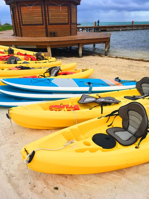 Kayaks, Paddleboards, Snorkel Gear & more available right on our dock!