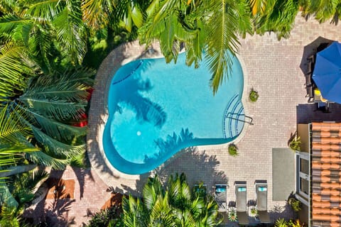 A heated pool, sun loungers